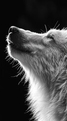 Aufkleber - A close-up of a wolf's profile, showcasing its fur and serene expression in black and white.