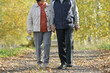 © ＭＯＭＯＴＡＲＯＵ - 手をつないで秋の一本道を歩くシニアの日本人夫婦