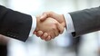 © Netthida Arsa - Young Professional Handshake Signifying Successful Closing of Business Deal in Modern Office Environment