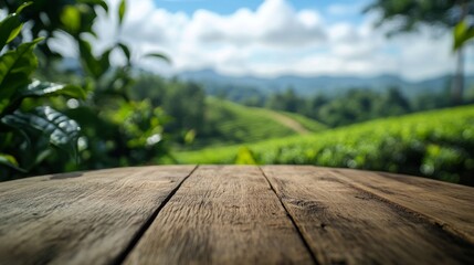 Wall Mural - 62.Circular wooden table in focus, with light wood grain details; vibrant tea fields blurred in the background, framed by soft green leaves and a bright blue sky, ideal for showcasing products in a