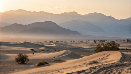 Wall Mural - mesquite trees growing on the slopes of sand dunes in death valley national park are reflecting warm