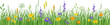 © is1003 - Flowers and grass border, meadow flowers and green grass, vector illustration