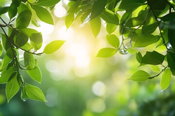 Sticker - Bright sunlight shining through vibrant green leaves on a tree