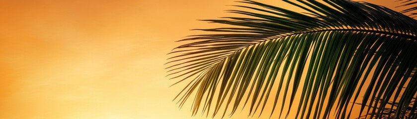 Canvas Print - Explore the captivating beauty of an artistic tropical silhouette of dense palm leaves against a warm golden sky This stunning image showcases the intricate details of nature's artistry, perfect for