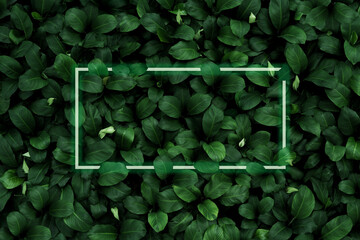 Wall Mural - spathiphyllum cannifolium concept, green abstract texture with white frame, natural background, trop