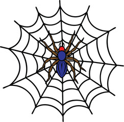 spider on web