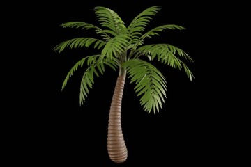 Aufkleber - Isolated palm tree with green fronds on transparent background.