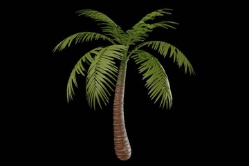 Aufkleber - A single  slender palm tree with lush green fronds stands isolated against a transparent background.