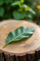 Aufkleber - A real wood table features a blurred leaf on a textured wooden surface surrounded by a natural outdoor garden setting._00003_