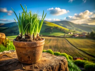 Poster - Peat Pot Onions, Rustic Farm Landscape Photography, Spring Onion Harvest,  Organic Gardening, Irish Landscape