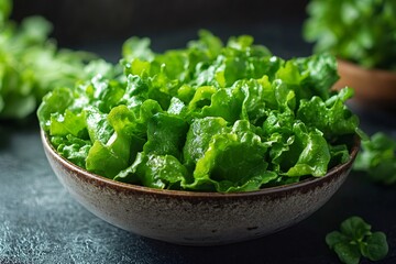 Fresh green lettuce leaves filling a brown bowl on dark background