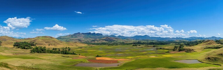 Poster - Captivating view of colorful rice fields amidst lush hills and clear blue skies during daylight in a rural landscape