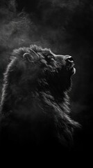 Poster - A dramatic silhouette of a bear against a dark, smoky background.