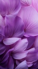 Delicate purple flower petals creating an ethereal abstract pattern with soft gradients and gentle curves, showcasing nature's intricate details in a dreamy macro photography composition.