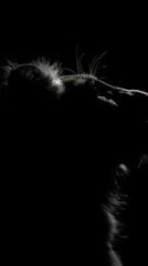 Aufkleber - A silhouette of a dog's head against a dark background, evoking a sense of mystery.