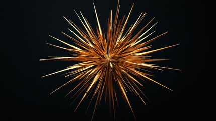 Wall Mural - golden firework displayed on black, a festive concept for the new year