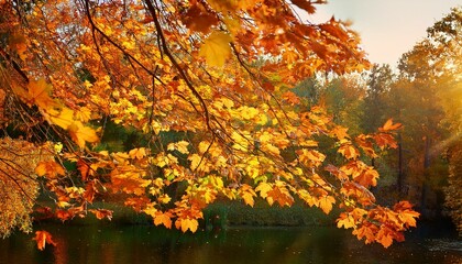 Canvas Print - Golden autumn leaves over a calm lake.  Nature's vibrant fall colors.