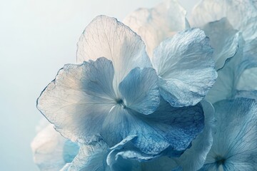 this beautiful arrangement of delicate blue flowers features soft tones and intricate petals, evokin