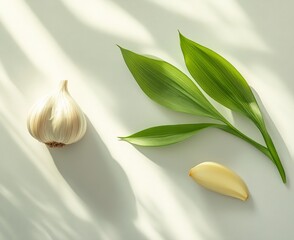 Wall Mural - Fresh garlic bulb with green leaves on a white background showcasing natural elements