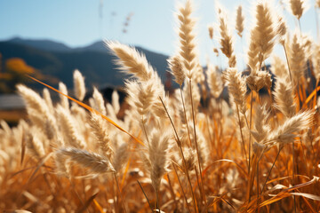 Wall Mural - landscape is brought to life by lively and rhythmic movement of wild grasses swaying in wind