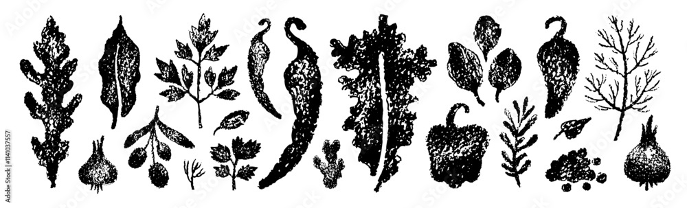 Spice vector silhouette. Sketch crayon vegetable illustration. Food ...
