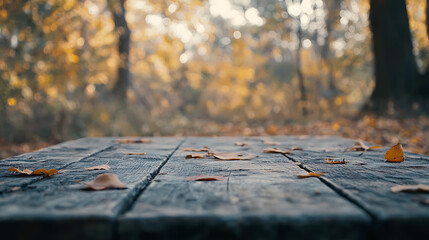 Aufkleber - Autumn background with pumpkins, berries and leaves on dark rustic wooden background