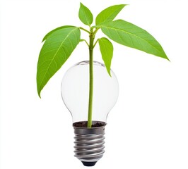 Poster - An eco-friendly 3D light bulb with a plant inside, set against a clear background.