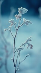 Wall Mural - Frozen Beauty Delicate Plant Covered in Frost, Winter Wonderland Scene in Blue Tones