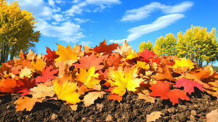 Poster - A vibrant display of colorful autumn leaves on the ground, set against a clear blue sky and golden trees, showcasing the beauty of fall