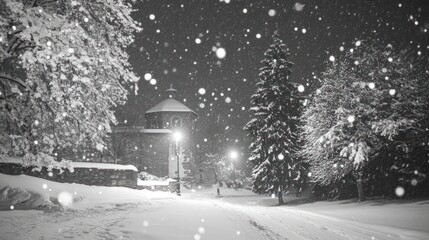 Poster - A serene snowy night scene with falling snowflakes and illuminated trees.