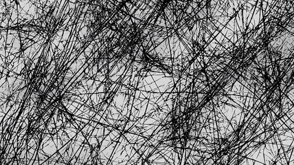 Abstract Black and White Texture  Intricate Line Art Background