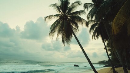 Wall Mural - Serene Beach Landscape with Palm Trees Against a Dramatic Sky at Dusk