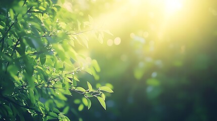 Poster - Sunlit foliage with bright natural light creating serene outdoor scene : Generative AI