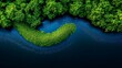 © nditzmedia - Aerial View of Lush Green Mangrove Island in Dark Water