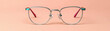 © Leninya - Stylish metallic silver eyeglasses with colorful accents on arms, perfect for modern look. These frames combine elegance and fun, making them great accessory for any outfit