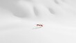 © Natchooda - An ant crawling across a pristine white background. A minimalist concept perfect for symbolic advertising or environmental messaging.