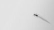 © Natchooda - An ant crawling across a pristine white background. A minimalist concept perfect for symbolic advertising or environmental messaging.