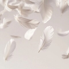 Wall Mural - Floating white feathers minimalist studio setting close-up photography serene atmosphere aesthetic concept