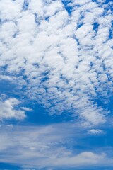Wall Mural - a stunning view of a clear blue sky with soft, white fluffy clouds. this serene landscape is perfect