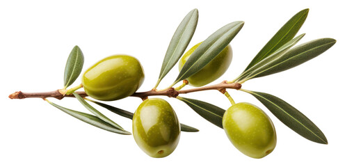 Poster - PNG Olive branch fruit plant food.