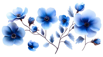 Wall Mural - blue flower set png vintage botanical sticker isolated on white background, 