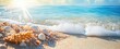 © magic - seashells on seashore in tropical beach - summer holiday background