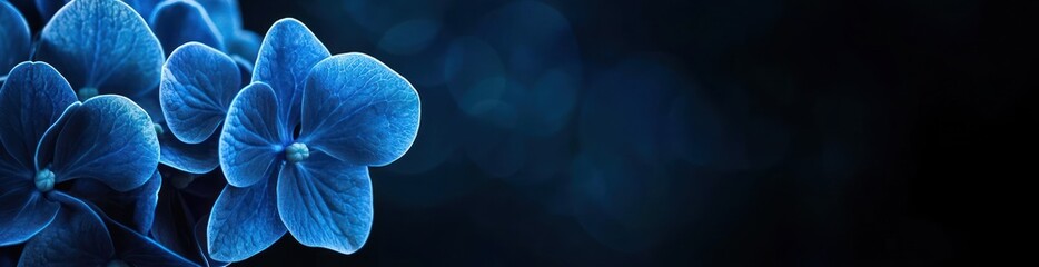 Poster - Close-up of blue flower, blurred bokeh background.