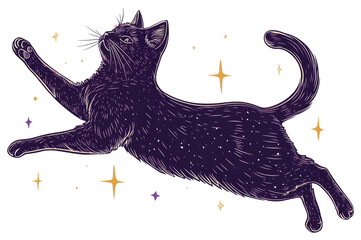 Wall Mural - PNG An isolated cat dancing illustration background black.
