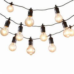 Poster - String of illuminated retro style light bulbs is hanging on a black cable against a white background