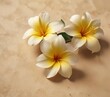 © AiGallery - Yellow frangipani flower with delicate petals against a warm beige background, highlighting its soft and elegant appearance, beige, nature
