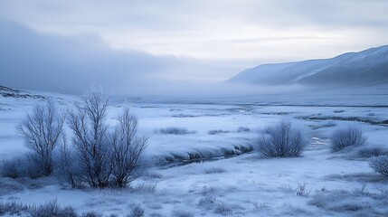 Aufkleber - Winter Morning in Frosty Valley with Snow Blanketed Fields and Bare Shrubs Under Cloudy Skies : Generative AI