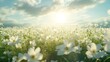 © NeuralNiche - Serene White Cosmos Flower Field Bathed in Soft Sunlight Against a Bright Sky in a Tranquil Garden Setting