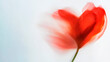 © Alice - Blurry heart-shaped red flower in motion on white background. Abstract banner template with copy style