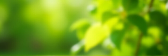 Aufkleber - Soft focus blurred leaves in a lush green garden setting can evoke feelings of spring and summer mornings._00001_